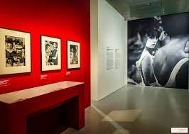 expositions