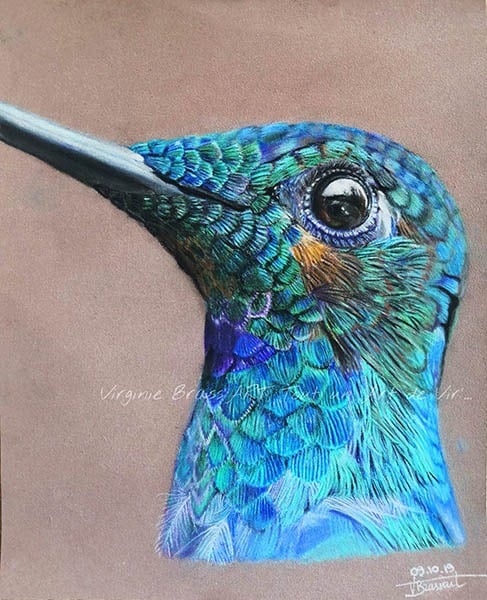 peinture colibri